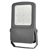 Projecteur LED SMD haute puissance CHZ IP66 30/60 à faisceau étroit avec télécommande pour éclairage de colonnes et piliers
