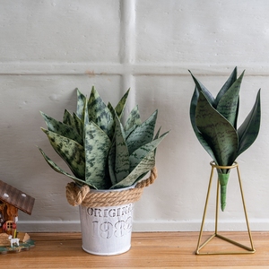 Planta Artificial de <span class=keywords><strong>Sansevieria</strong></span> con Hojas Verdes de Imitación de Serpiente CL20002 para Decoración de Interiores de Oficina <span class=keywords><strong>en</strong></span> Casa, Regalos de Inauguración - Product Image 4