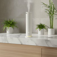 Diffuseur de parfum d'intérieur commercial pour hôtel, diffuseur automatique d'huiles essentielles, machine intelligente haut de gamme pour la maison avec télécommande