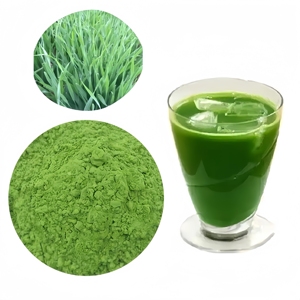 Proveedor de Fábrica, <span class=keywords><strong>Precio</strong></span> al por Mayor, Polvo de Jugo de <span class=keywords><strong>Cebada</strong></span> de Grado Alimenticio, Empaque OEM - Product Image 3