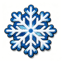 Magnifiques patchs de Noël personnalisés en chenille 3D brodés, appliqués thermocollants avec support auto-agrippant, en tissu écologique pour chapeaux