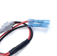 Faisceau de câbles automatique personnalisé Assemblage de câblage de véhicule isolé en PVC Connecteurs multiples pour les applications automobiles électroniques de voitures