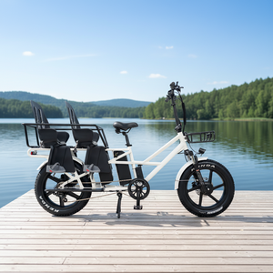 Vélo électrique de livraison à pneus larges personnalisé 48V 15Ah 20Ah avec double batterie et sièges pour bébés - Product Image 1