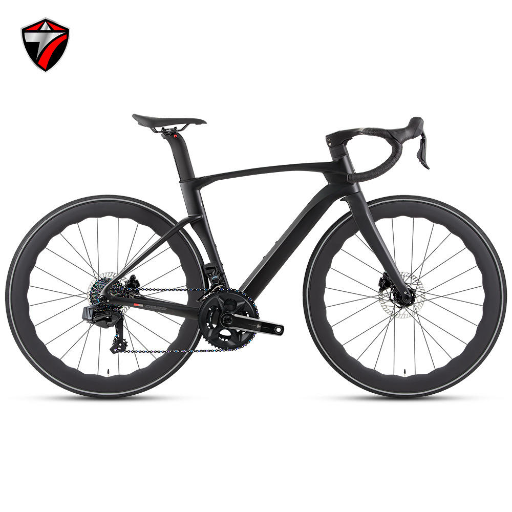 Wind Speed Cycling Km Per Hour 24-Speed Road Bicycle 250W 12V Oil