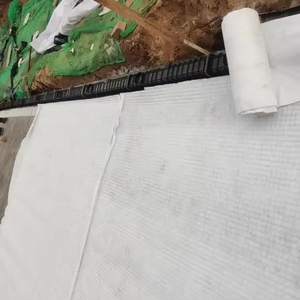 Géotextiles en plastique de panneau de vidange de fossette de HDPE de haute qualité pour l'application ferroviaire <span class=keywords><strong>prix</strong></span> de gros fourni - Product Image 2