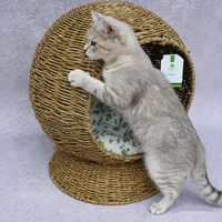 Cama para Gato em Forma de Tigela Feita à Mão com Corda de Grama Ecológica e Almofada de Algodão Macio, Ninho Natural para Gatinhos Dormirem
