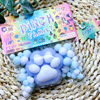 Jouet Squishy Patte de Chat Doux et Sensoriel Anti-Stress, Cadeau Fidget pour Enfants, Boîte Personnalisée, Vente en Gros