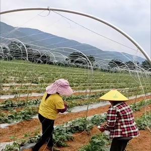 Fil en acier <span class=keywords><strong>plastique</strong></span> haute résistance, matériau PET, corde de pressage pour film de <span class=keywords><strong>serre</strong></span>, câble de soutien blanc/noir, accessoires de <span class=keywords><strong>serre</strong></span> - Product Image 5