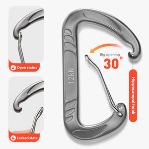 Aluminum Alloy Carabiner 12kN D-Type Powder Coated Green Orange Gray Outdoor <b>Hook</b> - Product Image 3