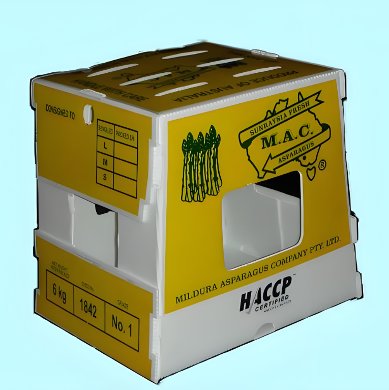Reusable PP Corrugated Sheet Vegetable Packaging Eco-friendly Plastic Packing Storage Asparagus Polypropylene Shipping Box