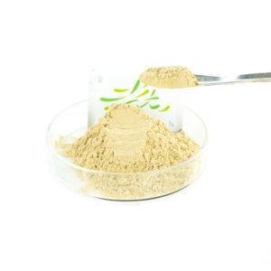 Апельсиновый порошок 100% водорастворимый пищевой порошок для напитков мгновенный апельсиновый сок порошок барабан упаковка Гарантия качества - Product Image 2