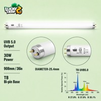 LuckyHerp T8 30W UVB5.0 Lampe UVB Spirale Classique en Verre pour Reptiles Écologique Intérieur Toutes Saisons 36in JX-FL8T3005