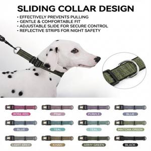 Correa Reflectante de Nailon de una Sola Cara YG-108 con Hebilla Deslizante y <span class=keywords><strong>Collar</strong></span> Grabado para Perros - Product Image 6