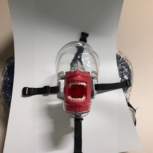 Maniquí de Cabeza con Dientes Realistas Profesionales, Componentes Metálicos de Acero Inoxidable para Prácticas de Blanqueamiento Dental - Product Image 2