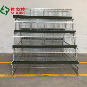 Systèmes automatiques de collecte d'œufs et de fumier pour cages à poules pondeuses de type <span class=keywords><strong>H</strong></span>/A, en acier galvanisé à chaud, stables et fiables, pour usage commercial - Product Image 6