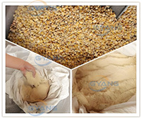 Moulin d'alimentation broyeur de céréales humides et sèches grain de maïs haute puissance électrique riz café blé moulin à farine rectifieuse