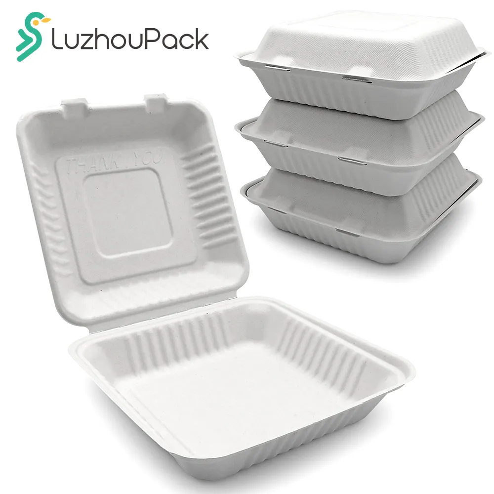 LuzhouPack Offre Spéciale 9 pouces bagasse pâte à papier boîte à lunch alimentaire à clapet pour restaurant