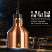 Lampe chauffante suspendue commerciale pour le maintien au chaud des aliments dans les hôtels, restaurants, buffets et stations de découpe, avec ampoule incluse