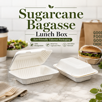 Boîte à lunch en bagasse de canne à sucre recyclée haut de gamme, faible MOQ, boîte bento personnalisée, emballage biodégradable avec couvercle, vente en gros