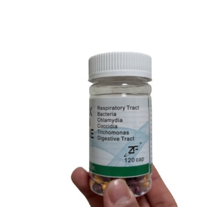 Güvercin altı bir yarış takviyeleri solunum yolu için ilaç espet chia Pet Eimeria Trichomonas evcil hayvan güvercinler için - Product Image 4