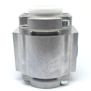 Bomba de Engranajes 0009810443 - Reemplazo OEM de Alta Precisión, Construcción Metálica, Capacidad de 1000 lb para un Funcionamiento Estable - Product Image 3