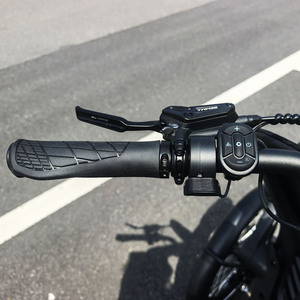 Triciclo Eléctrico de Carga para Perros, Marco de Aleación, Motor Central Eléctrico de 48V, <span class=keywords><strong>Desviador</strong></span> para Adultos, Freno Hidráulico con Interruptor de Apagado - Product Image 3