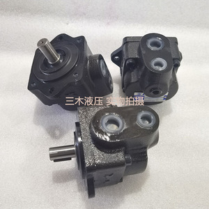 Pompe à aubes Funan DS-13-FR, 1 étage, en fonte, hydraulique, à cylindrée fixe - Product Image 3