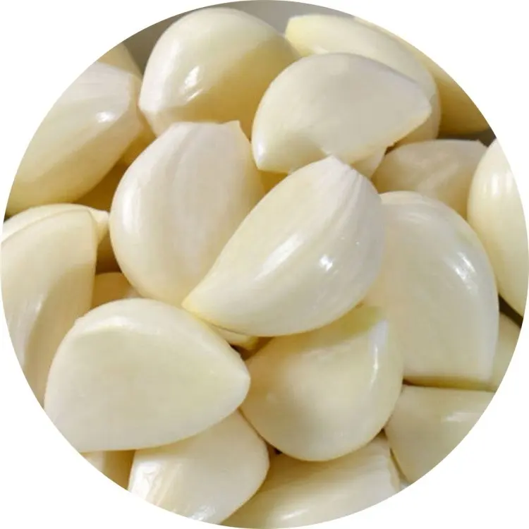 WOHUA Supplier Fresh Peeled Garlic Cloves 5 lb Garlic Peeled Vacuum Packed China Fresh Peeled Garlic