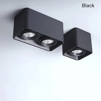 Éclairage intérieur 5W 10W 20W 30W Plafonnier encastré noir blanc à tête simple ou double LED