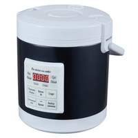 Cuisinière à riz portable 1,6 L pour voiture, 12V 24V DC 220V AC, mini-cuisinière à riz électrique pour voiture, camion, voyage