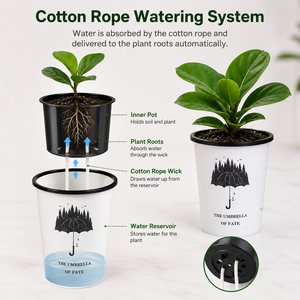 Pots à fleurs esthétiques minimalistes blancs en PP épaissi, écologiques, pour la maison et le jardin, petits pots décoratifs pour pépinière avec <span class=keywords><strong>trou</strong></span> de drainage - Product Image 2