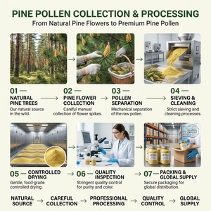 Poudre de <span class=keywords><strong>pollen</strong></span> de pin à paroi cellulaire brisée naturelle, <span class=keywords><strong>pollen</strong></span> pur de Pinus Massoniana pour complément alimentaire, poudre superalimentaire en vrac - Product Image 6