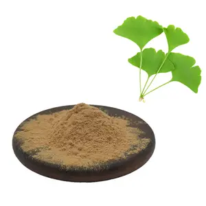 Natuurlijke Ginkgo Biloba Leaf Extract Poeder Flavonen Lactonen Egb761 Poeder Usp43