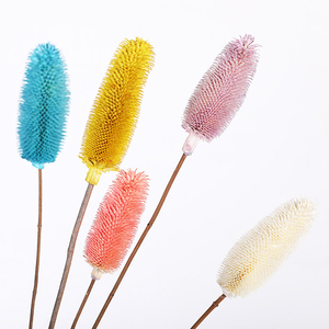 Nouvelle Arrivée Flora d'Été Fleurs Séchées Naturelles Blanches Dipsacus Sativus Fournisseurs de Fleurs pour <span class=keywords><strong>la</strong></span> Décoration Intérieure - Product Image 3