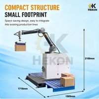 Paletizador Robótico de Alta Velocidad HEKON, Sistema Automático de Paletización, Robot para Paletizar Cajas, Bolsas, Alimentos y Bebidas