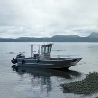 Kin ocean Aluminium Out Board Motor Landing Craft Center Konsole Fischerboot 21ft zu verkaufen
