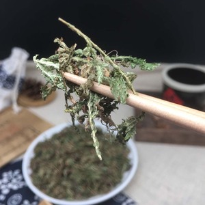 Vente en gros de <span class=keywords><strong>Shi</strong></span> <span class=keywords><strong>Shang</strong></span> Bai, herbes chinoises, cyprès de pierre, grande variété de produits - Product Image 2