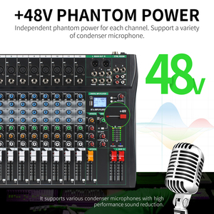 Mezclador de Audio Profesional de Nuevo Diseño, Consola de Sonido de 12 Canales con Entrada USB para Computadora y MP3 para Estudio de DJ - Product Image 5