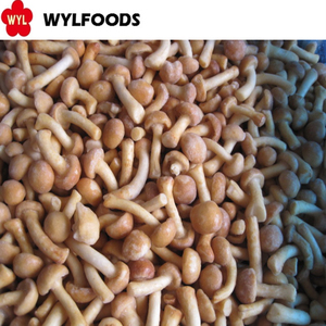 De <span class=keywords><strong>Nameko</strong></span> congelados - Product Image 4