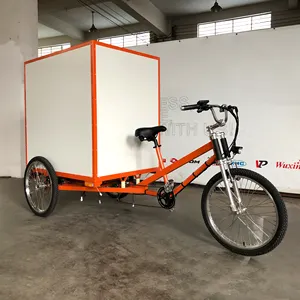 Hot Koop Elektrische Assist Pick Up Trike Cargo Trike