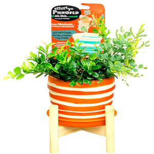 Pot de fleurs en céramique rayé avec support en bois, petit pot pour la décoration intérieure, entrée, patio, table, jardin - Product Image 2