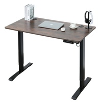 Bureau d'ordinateur de système réglable de levage électrique de levage d'un moteur pour l'étude