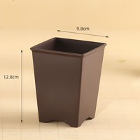 Pots de bonsaï carrés classiques en plastique de 9.8cm pour cactus et arbre succulents