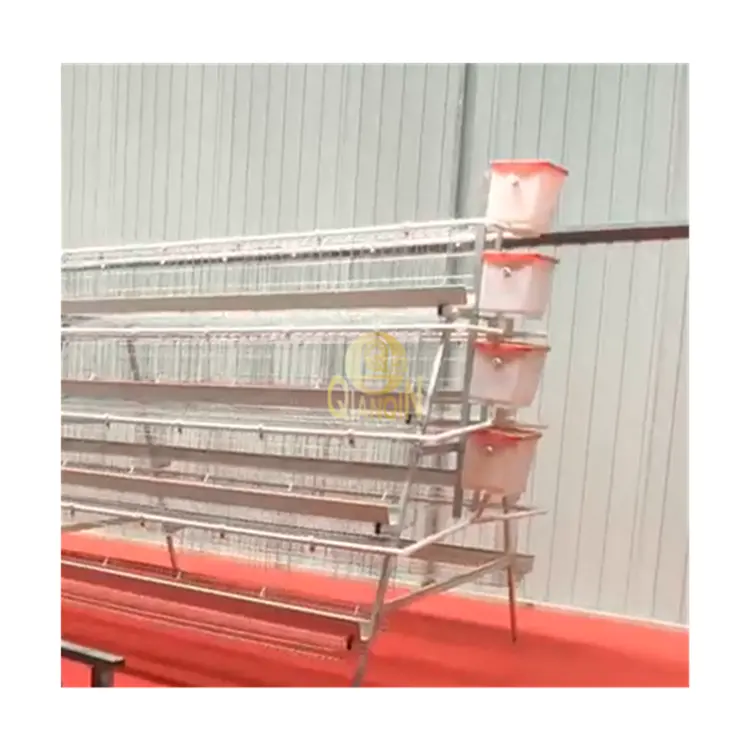 QinaQin Good Quality A Type Layer Cage Automatic Battery Poultry Chicken Cage