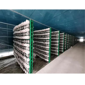 Multifunctional Mushroom Cultivation Rack Adjustable Layer Height Growing <b>Shelf</b> <b>Industrial</b> Production Equipment - Product Image 1