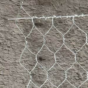 Global Shipping 80*100mm Decorative Garden <strong>Fence</strong> Welded Galvanized Hexagonal Woven <strong>Gabion</strong> <strong>Fence</strong> Wire Mesh for Slope protection - Product Image 6