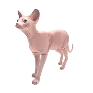 New design cat mannequin animal model for display Canadian hairless cat