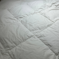 Vente en gros de literie en 100% coton pour hôtel et maison Couette douce et confortable pour adulte Couette toutes saisons pour chambre