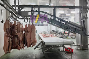 Conception d'une petite abattoirie pour porcs, équipement de ligne d'abattage pour 50 à 100 porcs - Product Image 5