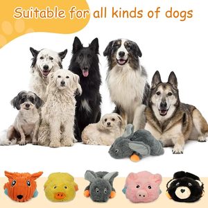 <span class=keywords><strong>Pet</strong></span> malzemeleri Amazon sıcak satış <span class=keywords><strong>Pet</strong></span> çiğnemek oyuncaklar paketi dayanıklı dolması peluş köpek çiğneme oyuncaklar Amazon yeni peluş oyuncaklar köpekler için